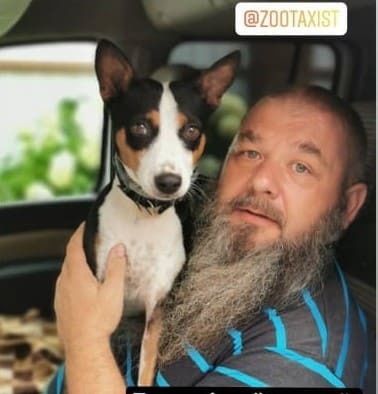 такси для собак